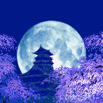 Night Park